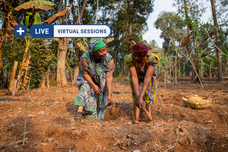 Agent Networks at the Last Mile (A CGAP Course)